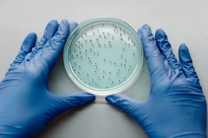 Genes a la venta: cómo las patentes biotecnológicas convierten la riqueza biológica de América Latina en propiedad privada del Norte
