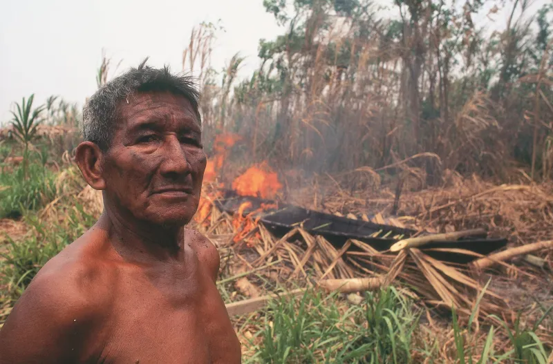 Píxeles contra el olvido: cómo las comunidades latinoamericanas convierten la tecnología en escudo legal frente a la devastación ambiental
